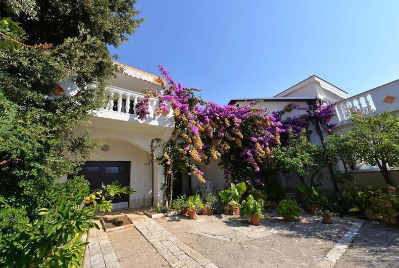 Ostaric Apartment Mandre Exterior photo